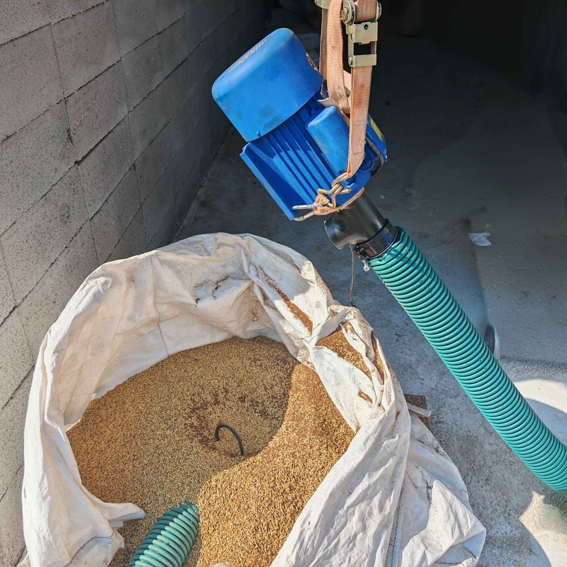 Convoyeur à vis flexible avec moteur 220V - Pour céréales, pellets, plastique