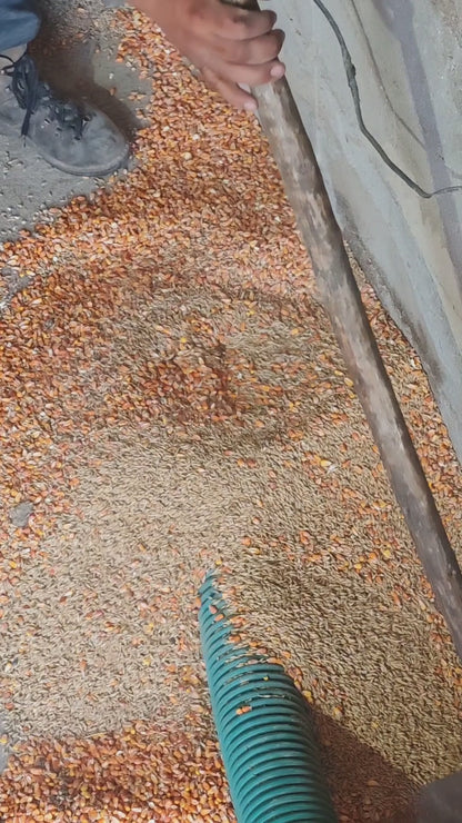 Convoyeur à vis flexible - Moteur 380V - Usage industriel - Céréales, sable, sciure