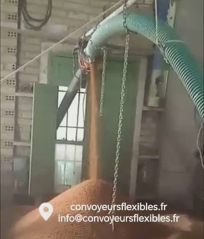 Convoyeur à vis flexible avec moteur 220V - Pour céréales, pellets, plastique