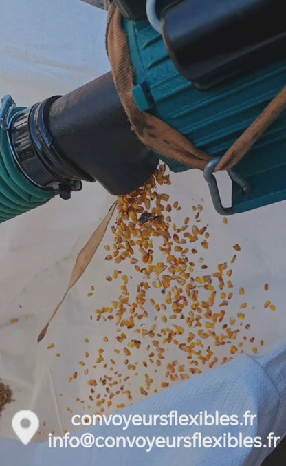 Convoyeur à vis flexible avec moteur 220V - Pour céréales, pellets, plastique